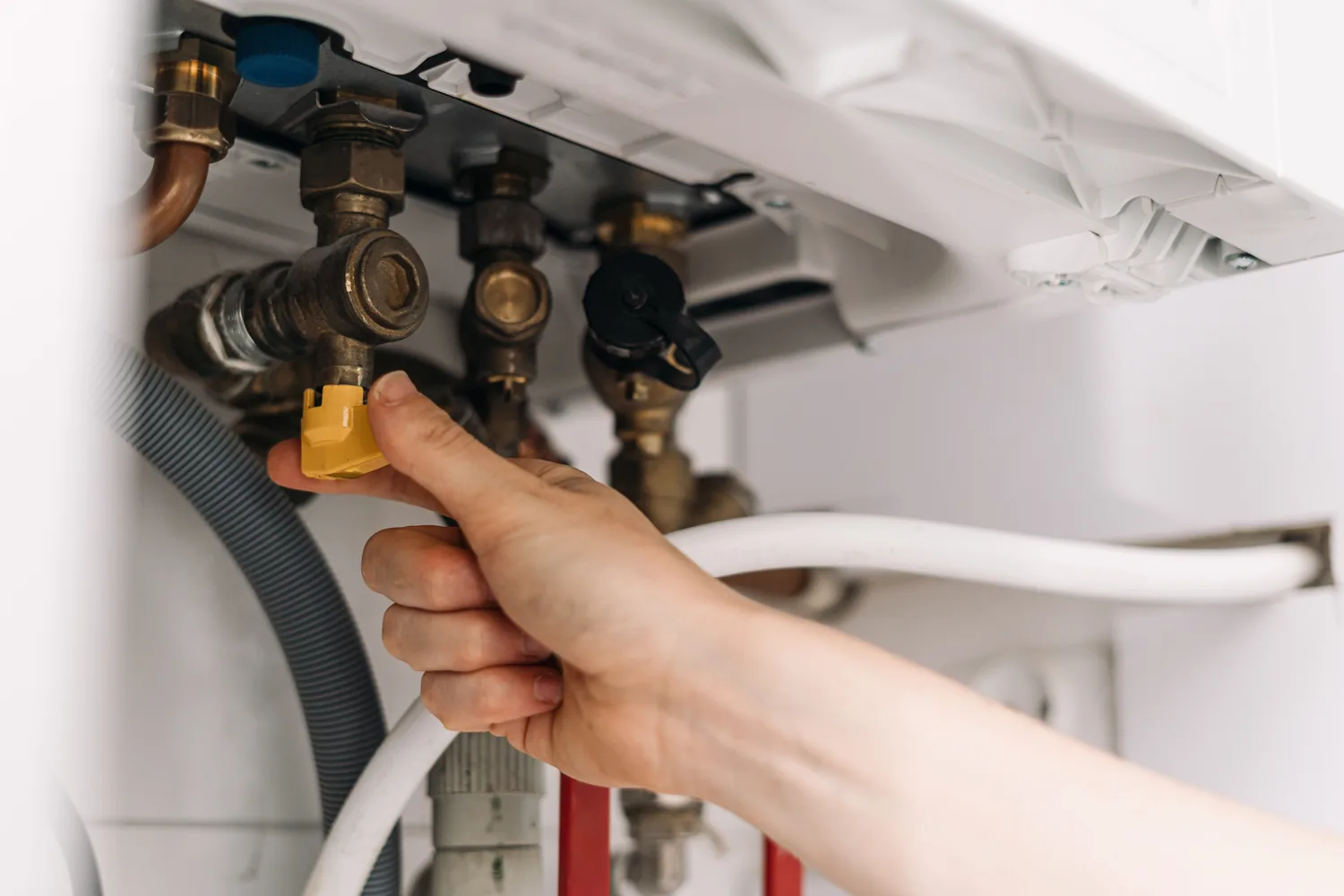 Luz y gas en León de Ecovolt Renovables